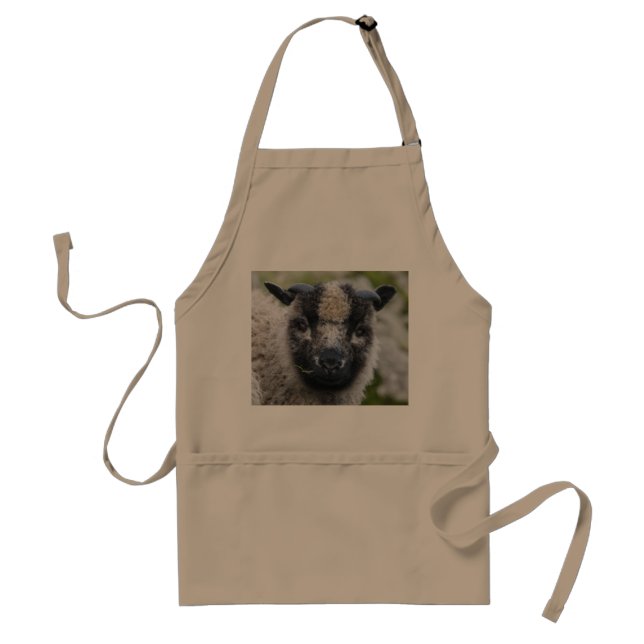 Lambster Apron (Front)