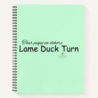 Lame Duck Turn Mint Green and Black Notebook