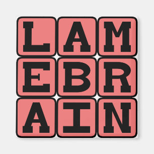 Lamebrain, Foolish Magnet