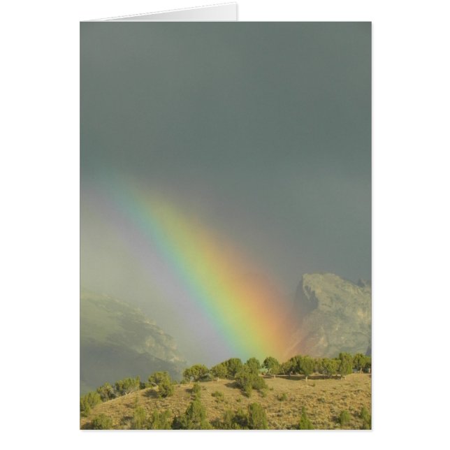 Lamoille Canyon Rainbow (Front)