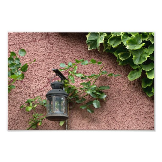 Lamp and Leaves Photo