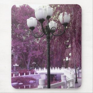 Lamp In Changan Park Mousepad