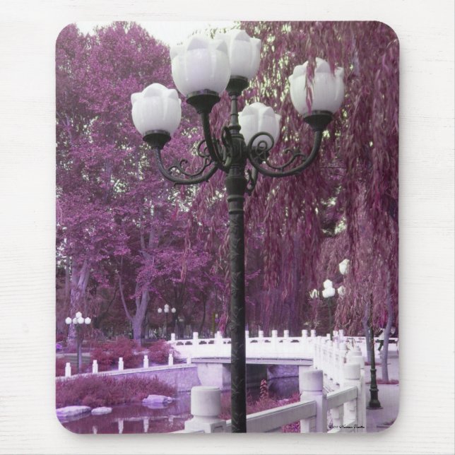Lamp In Changan Park Mousepad (Front)