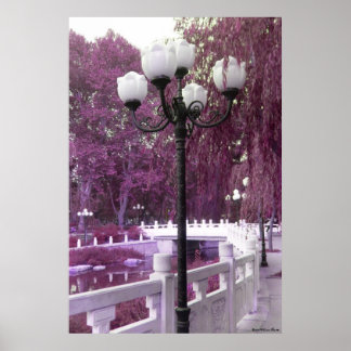Lamp in Changan Park Print