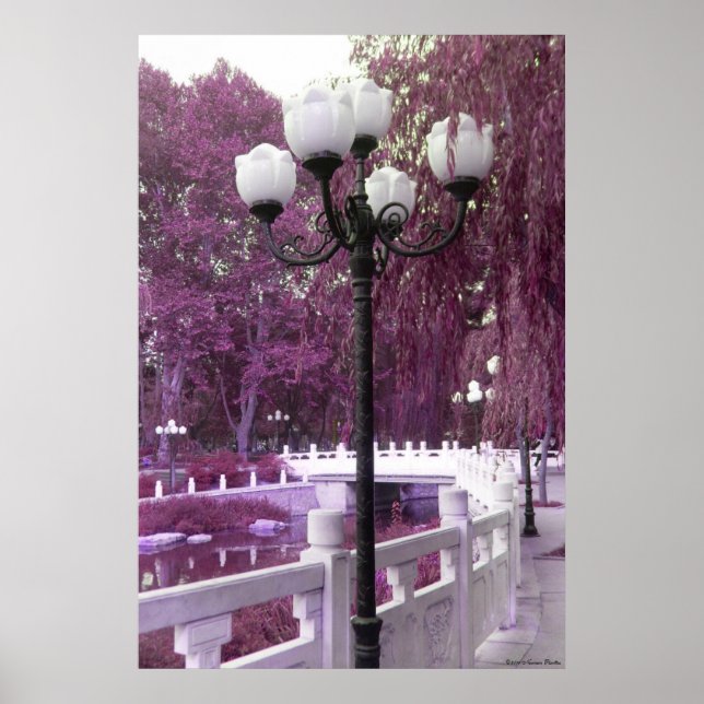 Lamp in Changan Park Print (Front)