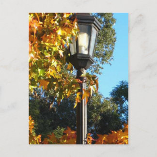 Lamp Post in Case Postcard