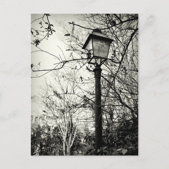 Lamp post in Paris Postcard (Front)