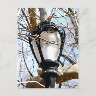 Lamp Post New York Central Park Postcard