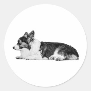 Lamplight Guardian Classic Round Sticker