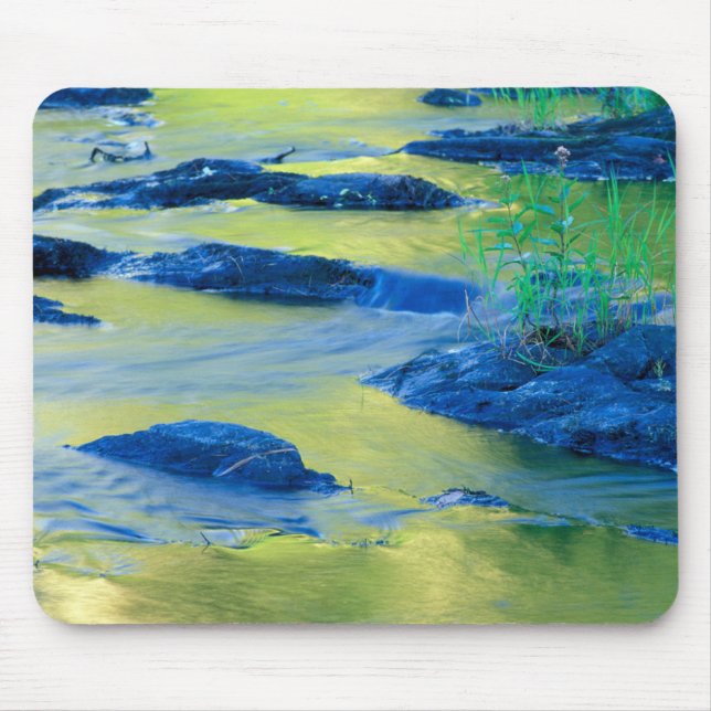 Lamprey River | New Hampshire Mouse Mat (Front)