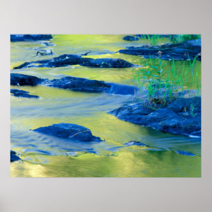 Lamprey River   New Hampshire Poster
