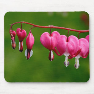 Lamprocapnos spectabilis mouse mat