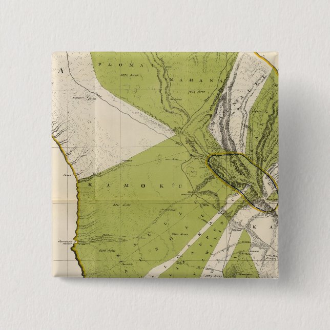 Lanai, Hawaii 15 Cm Square Badge (Front)