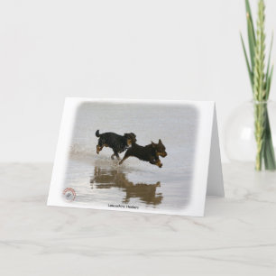 Lancashire Heeler 9R056D-182 Card