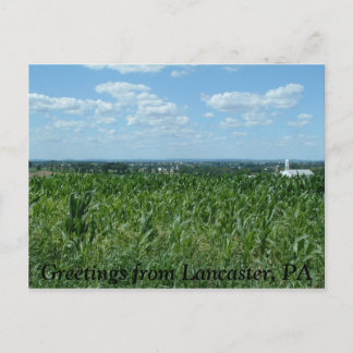 Lancaster field, Greetings from Lancaster, PA Postcard
