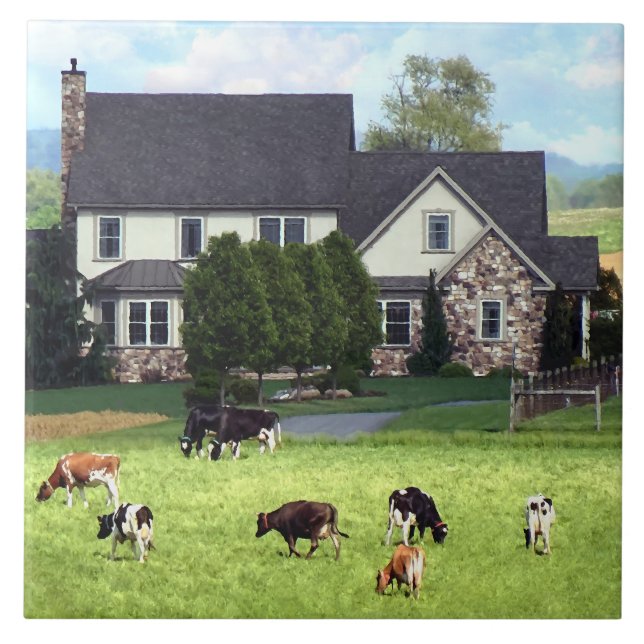 Lancaster PA - Family Farm With Cows in Pasture Tile (Front)