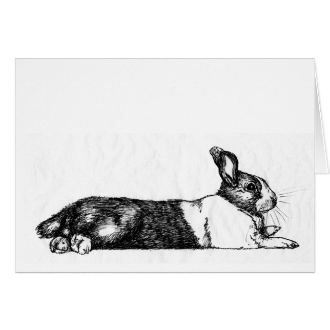 Lance the Unamused Bunneh (Front Horizontal)