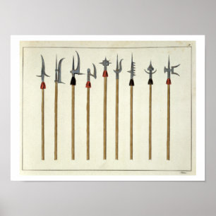 Lances, spears, halberds and partisanes, plate fro poster