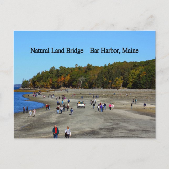 Land Bridge Bar Harbour Postcard (Front)