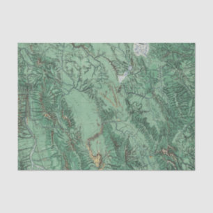 Land Classification Map of Idaho Tissue Paper
