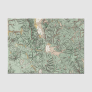 Land Classification Map of Nevada Tissue Paper