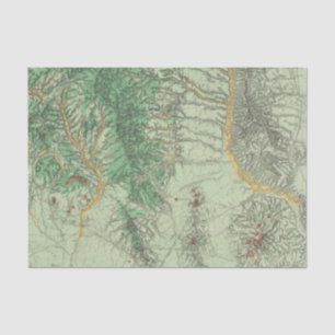 Land Classification Map of Southwestern New Mexico Tissue Paper