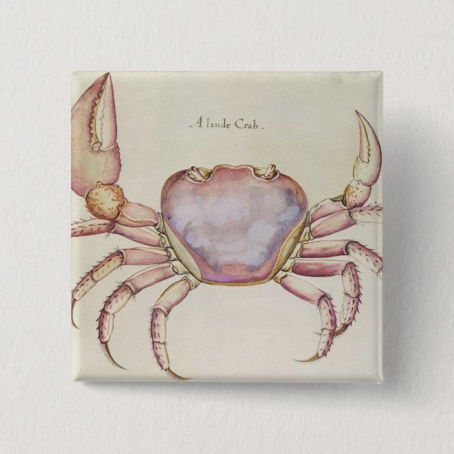 Land Crab 15 Cm Square Badge (Front)