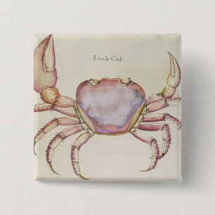 Land Crab 15 Cm Square Badge
