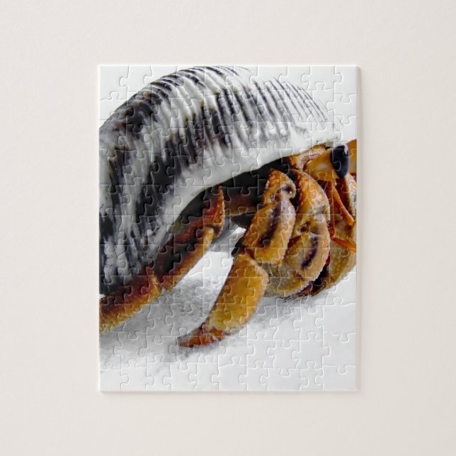 land hermit crab jigsaw puzzle (Vertical)