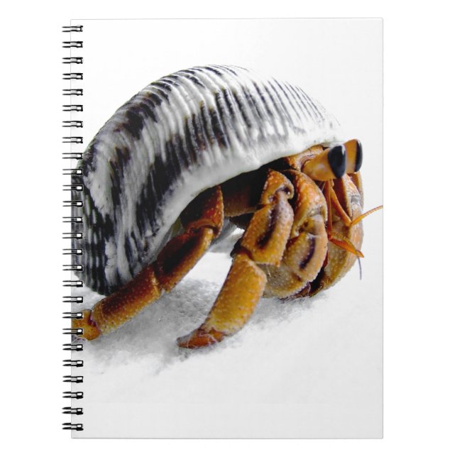 land hermit crab notebook (Front)