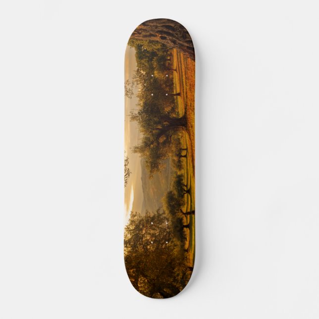 Land of Autumn Skateboard (Front)