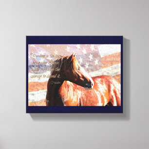 Land of the Free Canvas Print