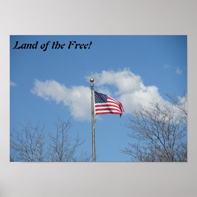 Land of the Free flag poster (Front)