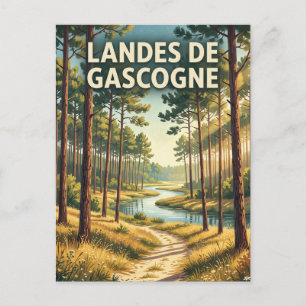 Landes de Gascogne Regional Natural Park France Postcard