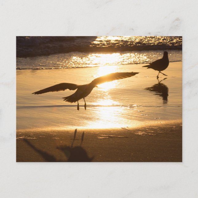 Landing approach postcard (Front)