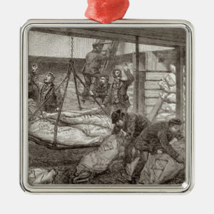 Landing Australian Frozen Meat Metal Tree Decoration
