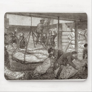 Landing Australian Frozen Meat Mouse Mat