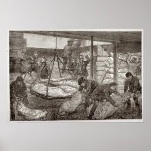 Landing Australian Frozen Meat Poster