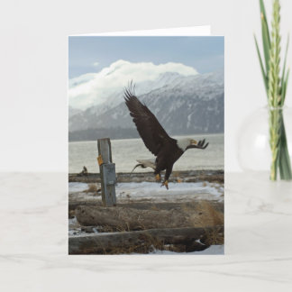 Landing Eagle Card