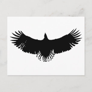 Landing Eagle Silhouette Postcard