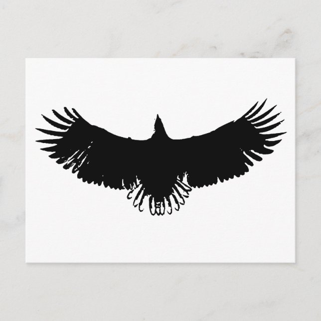 Landing Eagle Silhouette Postcard (Front)