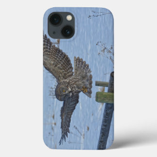 Landing Great Grey Owl and Fence Wildlife Photo iPhone 13 Case