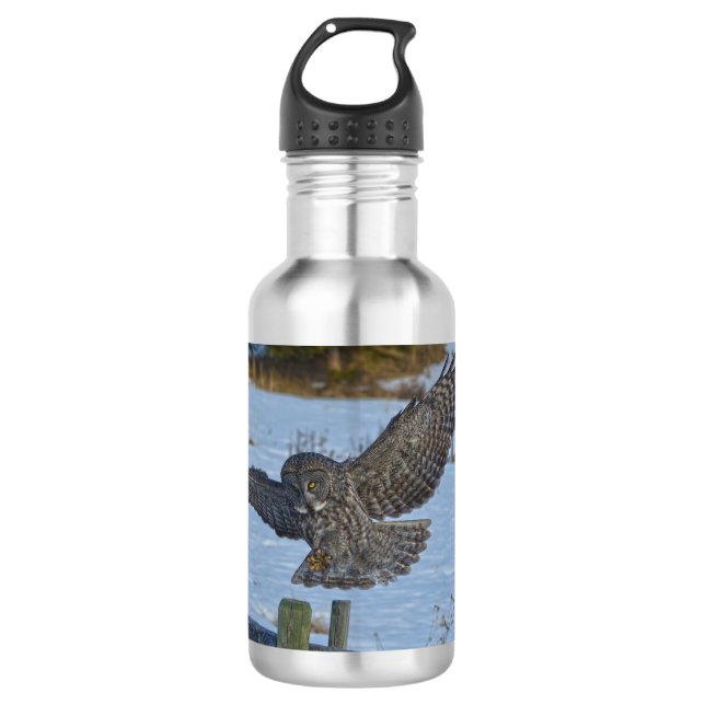 Landing Great Grey Owl and Snow Wildlife Raptor 532 Ml Water Bottle (Front)