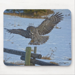 Landing Great Grey Owl and Snow Wildlife Raptor Mouse Mat