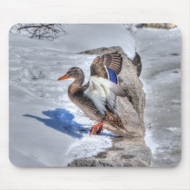 Landing Mallard Duck Birdlover Wildlife Photo Mouse Mat (Front)