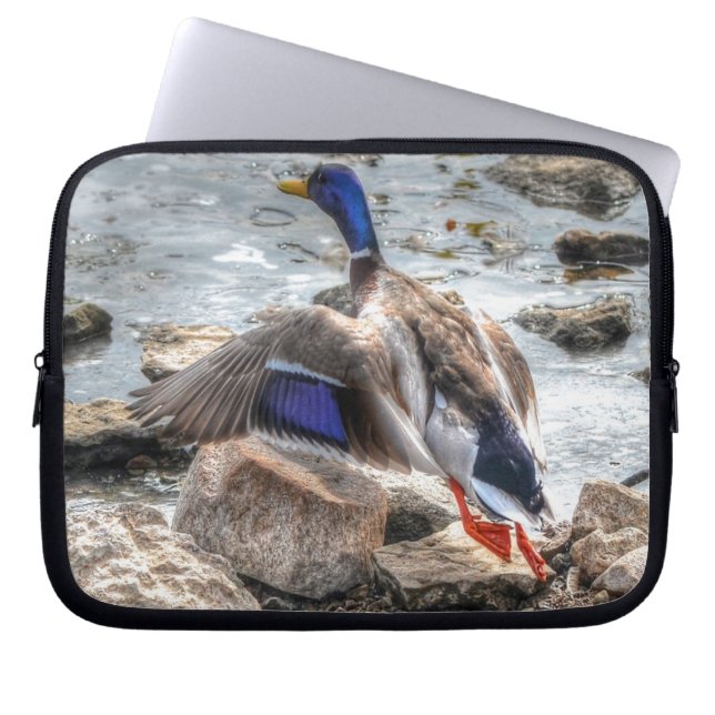 Landing Mallard Duck Drake 10 Wildlife Photo Laptop Sleeve (Front)
