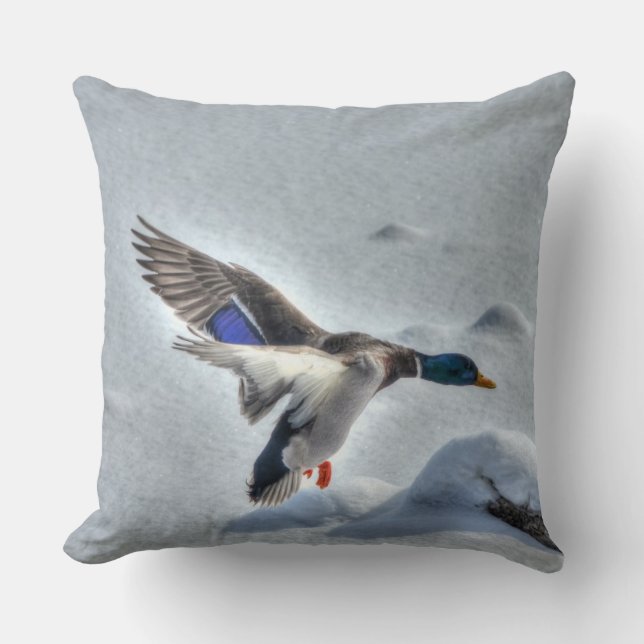 Landing Mallard Duck Drake Wildlife Photo Cushion (Front)