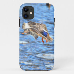 Landing Mallard Duck Wildlife Photo iPhone 11 Case