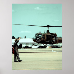 Landing the bird poster