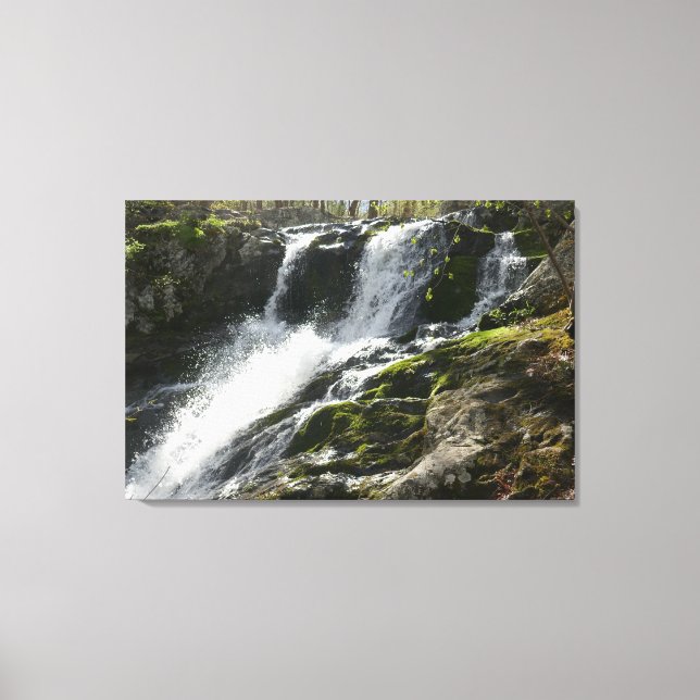 Lands Run Falls Canvas Print (Front)